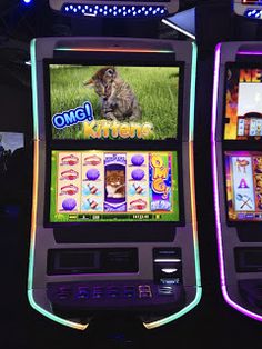 88 fortunes slots máquinas tragamonedas juegos de Amatic Industries 522524