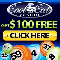 CoolCat casino gratis bono bingo 54672