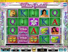 Noticias del casino bet365 maquinas tragamonedas multijuegos gratis 648778